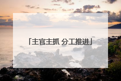 主官主抓 分工推进