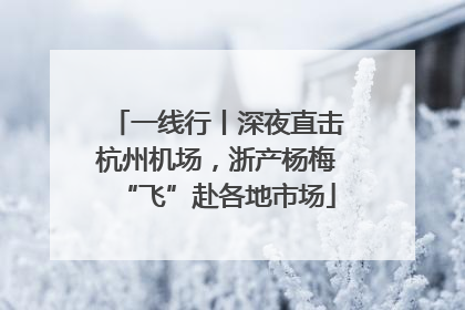 一线行丨深夜直击杭州机场，浙产杨梅“飞”赴各地市场