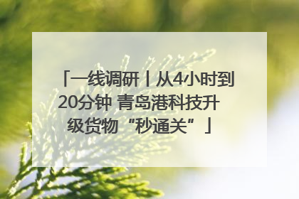 一线调研丨从4小时到20分钟 青岛港科技升级货物“秒通关”