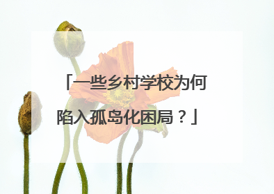一些乡村学校为何陷入孤岛化困局？