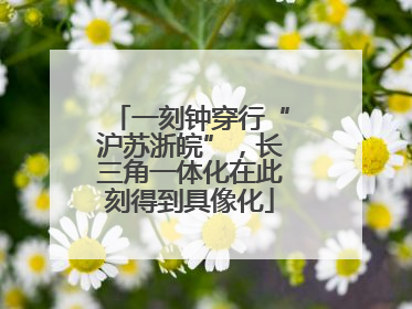 一刻钟穿行“沪苏浙皖”，长三角一体化在此刻得到具像化