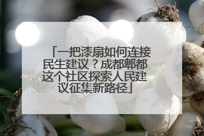 一把漆扇如何连接民生建议？成都郫都这个社区探索人民建议征集新路径