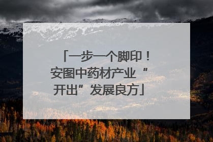 一步一个脚印！安图中药材产业“开出”发展良方