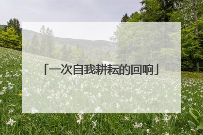 一次自我耕耘的回响
