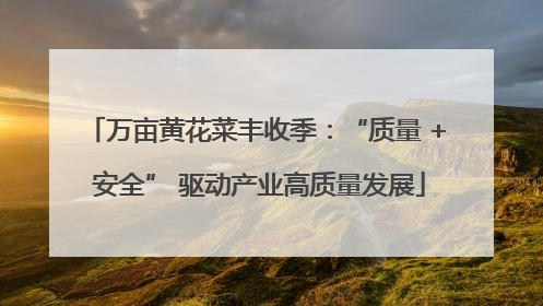 万亩黄花菜丰收季：“质量 + 安全” 驱动产业高质量发展