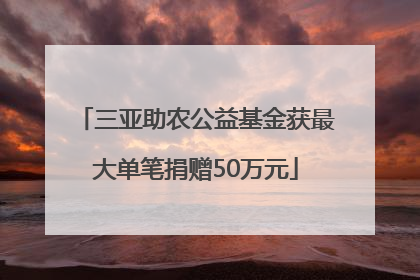 三亚助农公益基金获最大单笔捐赠50万元