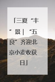 三夏“丰”景｜“五良”齐迎北京小麦收获日