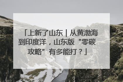 上新了山东｜从黄渤海到印度洋，山东版“零碳攻略”有多能打？