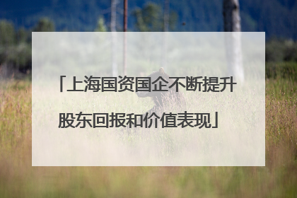 上海国资国企不断提升股东回报和价值表现