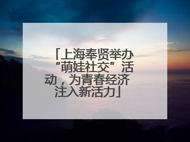 上海奉贤举办“萌娃社交”活动，为青春经济注入新活力