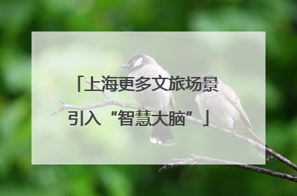 上海更多文旅场景引入“智慧大脑”