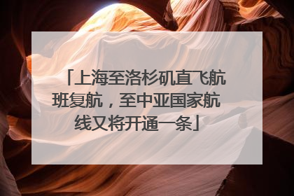 上海至洛杉矶直飞航班复航，至中亚国家航线又将开通一条