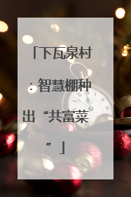 下瓦泉村：智慧棚种出“共富菜”