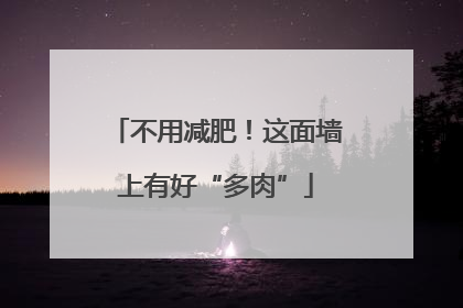不用减肥！这面墙上有好“多肉”