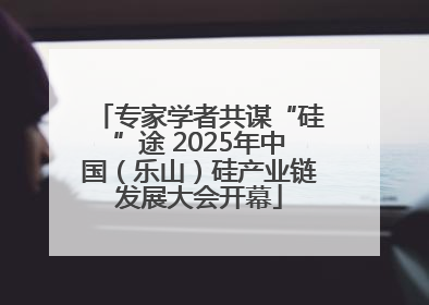 专家学者共谋“硅”途 2025年中国（乐山）硅产业链发展大会开幕
