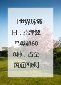 世界环境日：京津冀鸟类超600种，占全国近四成