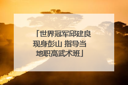世界冠军邱建良现身彭山 指导当地职高武术班