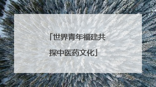 世界青年福建共探中医药文化