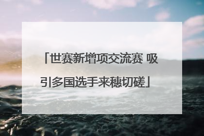 世赛新增项交流赛 吸引多国选手来穗切磋