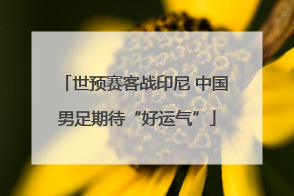 世预赛客战印尼 中国男足期待“好运气”