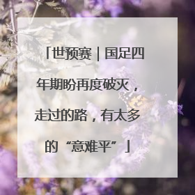 世预赛｜国足四年期盼再度破灭，走过的路，有太多的“意难平”