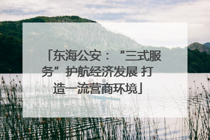 东海公安：“三式服务”护航经济发展 打造一流营商环境