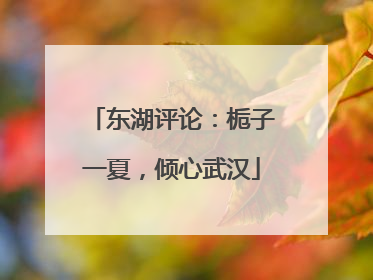 东湖评论：栀子一夏，倾心武汉