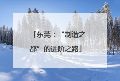 东莞：“制造之都”的进阶之路