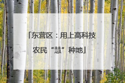 东营区：用上高科技 农民“慧”种地