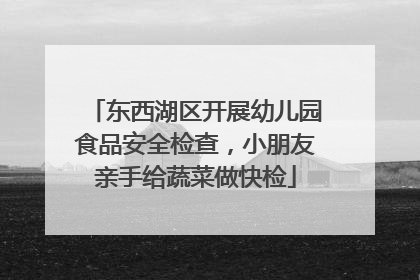 东西湖区开展幼儿园食品安全检查，小朋友亲手给蔬菜做快检