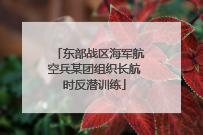 东部战区海军航空兵某团组织长航时反潜训练