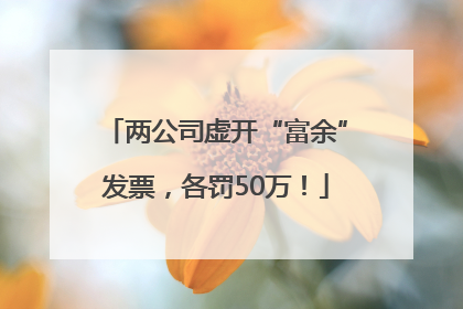 两公司虚开“富余”发票，各罚50万！