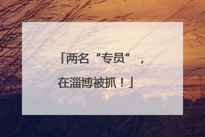两名“专员”，在淄博被抓！