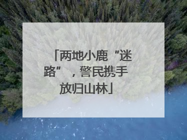 两地小鹿“迷路”，警民携手放归山林