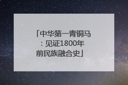 中华第一青铜马：见证1800年前民族融合史