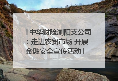 中华财险浏阳支公司：走进农贸市场 开展金融安全宣传活动