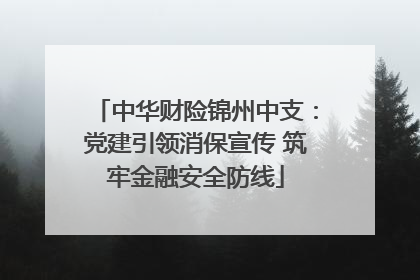 中华财险锦州中支：党建引领消保宣传 筑牢金融安全防线