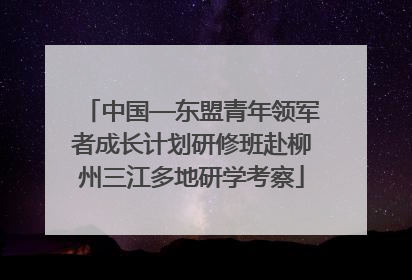 中国—东盟青年领军者成长计划研修班赴柳州三江多地研学考察