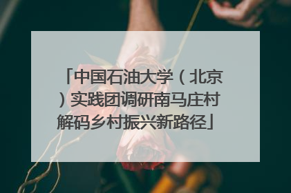 中国石油大学（北京）实践团调研南马庄村解码乡村振兴新路径