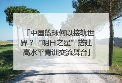 中国篮球何以接轨世界？“明日之星”搭建高水平青训交流舞台