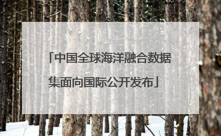 中国全球海洋融合数据集面向国际公开发布