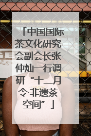 中国国际茶文化研究会副会长张仲灿一行调研“十二月令·非遗茶空间”