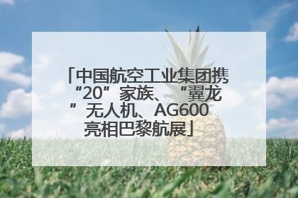 中国航空工业集团携“20”家族、“翼龙”无人机、AG600亮相巴黎航展