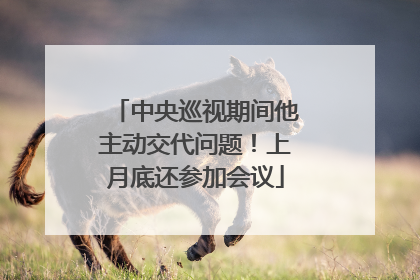 中央巡视期间他主动交代问题！上月底还参加会议