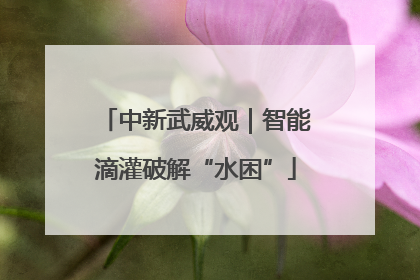中新武威观｜智能滴灌破解“水困”