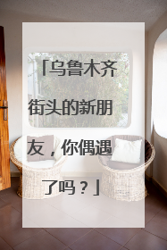 乌鲁木齐街头的新朋友，你偶遇了吗？