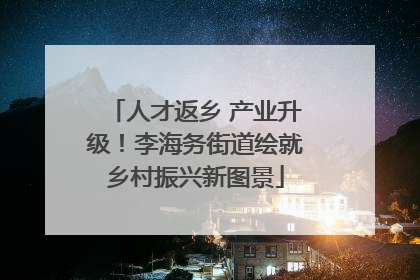 人才返乡 产业升级！李海务街道绘就乡村振兴新图景
