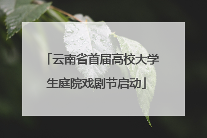 云南省首届高校大学生庭院戏剧节启动