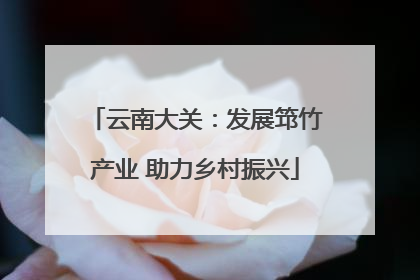 云南大关：发展筇竹产业 助力乡村振兴