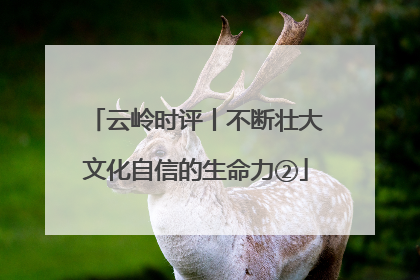 云岭时评丨不断壮大文化自信的生命力②